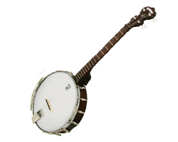 Photo annonce Banjo Tenor Deering