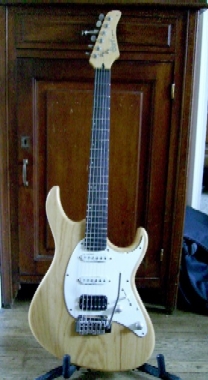 Photo : Cort G260