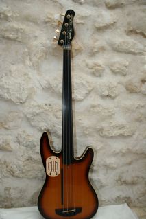 Photo annonce Basse electro acoustique Godin fretless 4