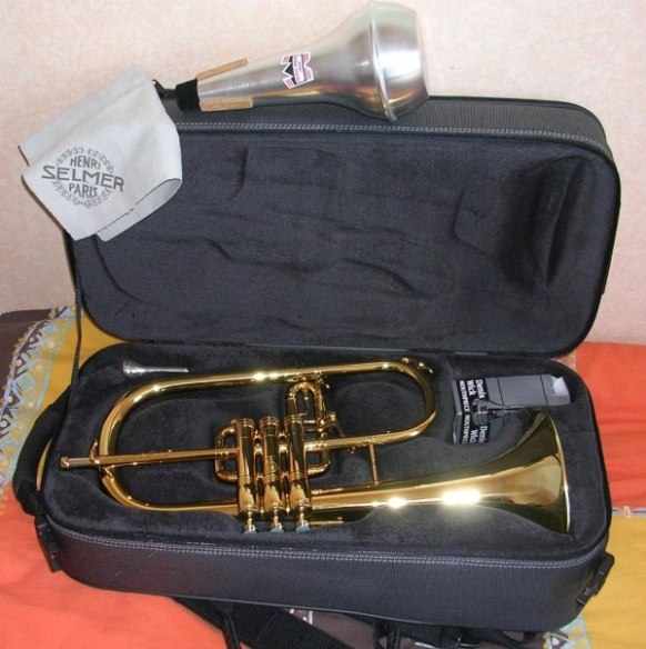 Photo annonce Bugle Selmer Concept Sib