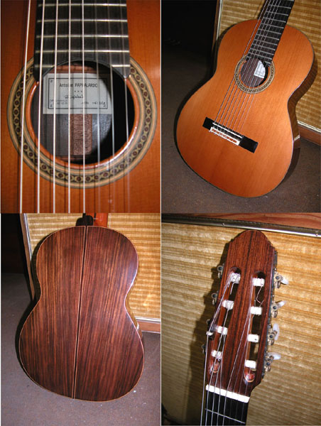 Photo annonce Guitare classique Concert a 8 cordes