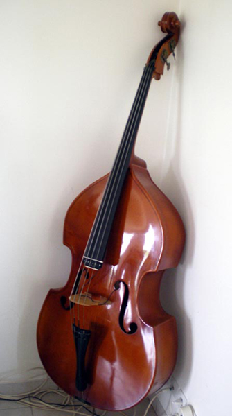 Photo annonce Contrebasse gerhard Reinel demi