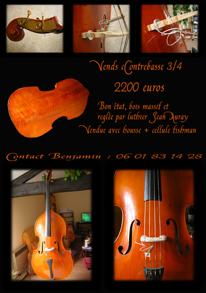 Photo : Contrebasse Massive