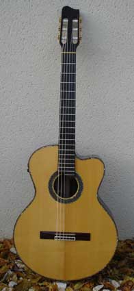 Photo annonce Classique electro acoustique TACOMA