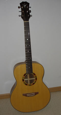 Photo annonce Folk acoustique lutherie