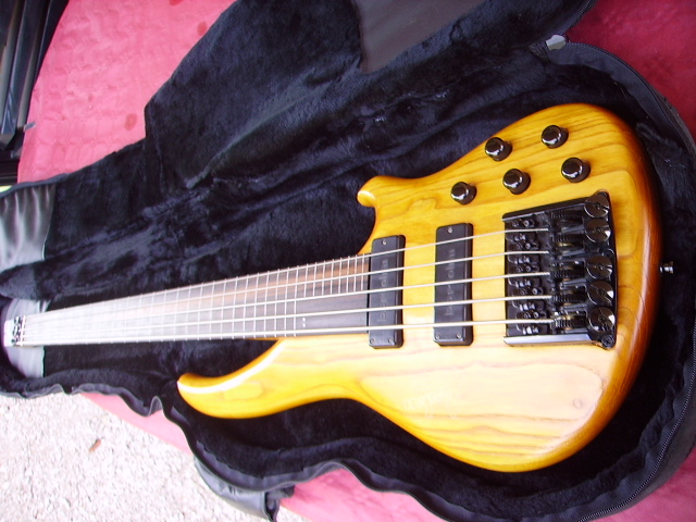 Photo : Basse Fretless