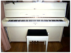 Photo annonce Young Chang E 118