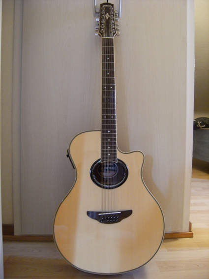 Photo : Guitare electro acoustique 12 cordes