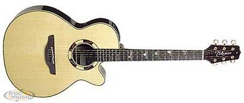 Photo : Takamine Santa Fe TSF 48C