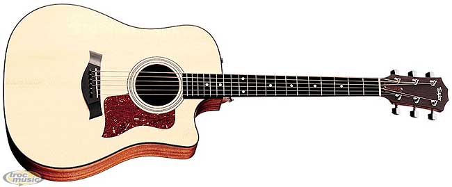 Photo : Taylor 310ce