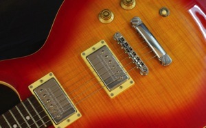 Photo annonce Hamer Archtops