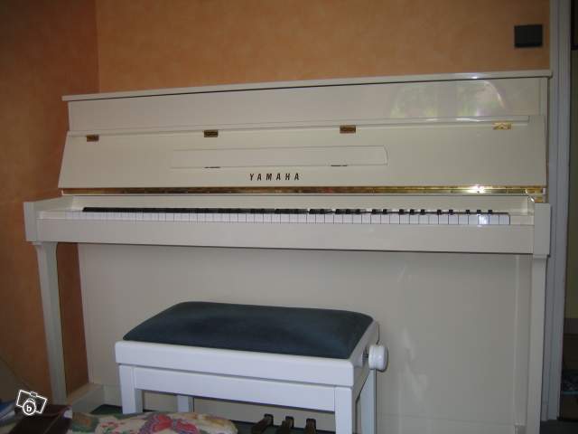 Photo annonce Piano Yamaha E 110 blanc & C113 noir