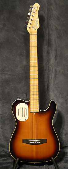 Photo : GODIN LR BAGGS ACOUSTICASTER