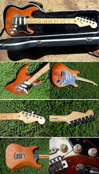 Photo annonce Fender Pieces Detachees