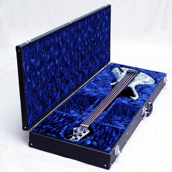 Photo annonce Fly Guitare