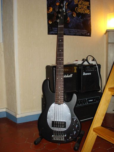 Photo : MusicMan SUB 5 Cordes