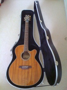 Photo annonce Takamine EF508KC + boitier de transport
