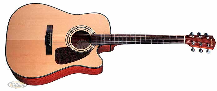 Photo : Fender DG 14SCE electro acoustique
