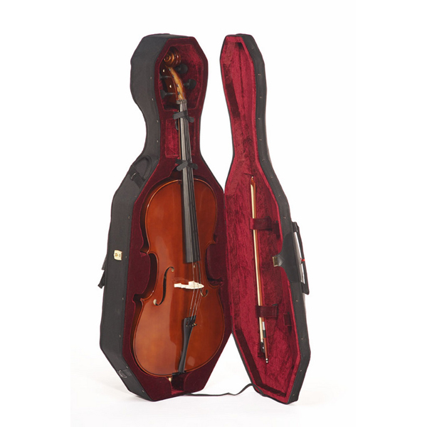 Photo : Violoncelle Civelli massif