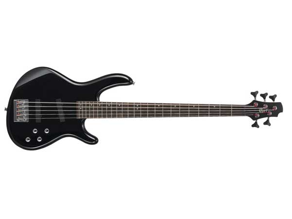 Photo : BASSE CORT ACTION V 5 cordes