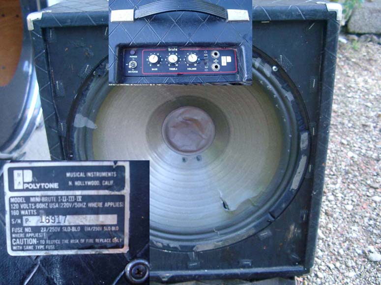 Photo annonce Polytone MINI BRUTE 4