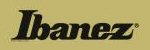 Photo annonce Ibanez Electroacoustique PF 300 Performance