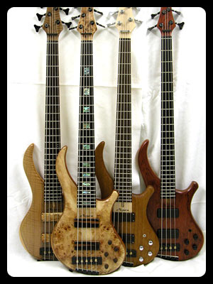Photo annonce BASSE NOGUERA EXPRESSION PLUS 5 cordes