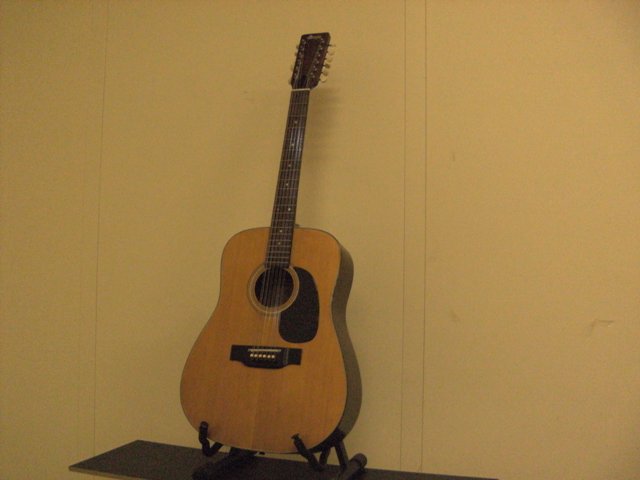 Photo annonce Guitare Maya F390 12 cordes