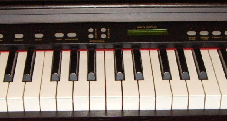 Photo annonce Delson Allegro 8865