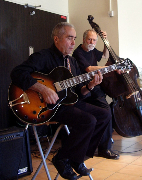 Photo annonce Animation Guitare Jazz Blues