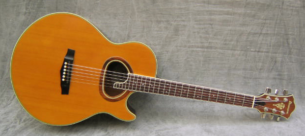 Photo : Folk IBANEZ Ragtime 400