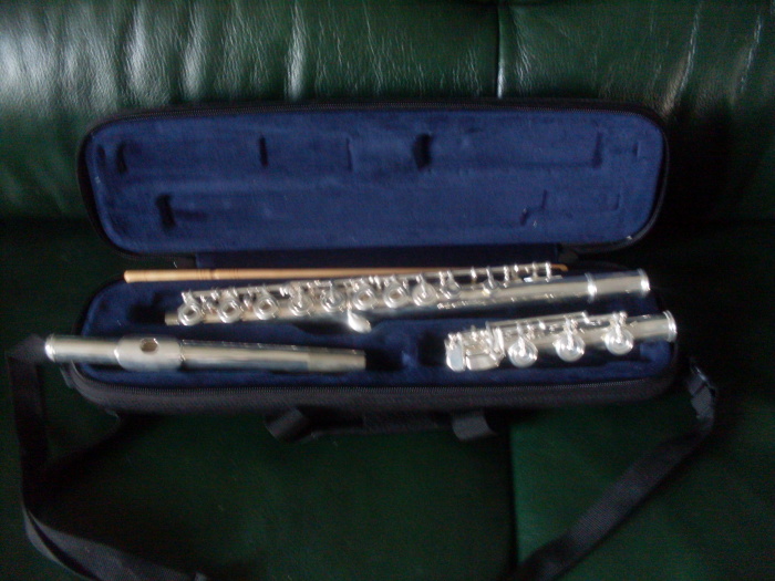 Photo annonce Flute traversiere Stagg 77 FFLB