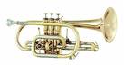 Photo annonce Cornet Courtois SIB Chambord II