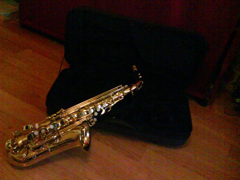 Photo : SAXOPHONE ALTO STAGG 77 SA