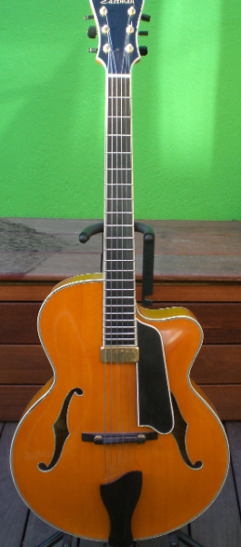 Photo annonce Guitare jazz Archtop  EASTMAN AR 805 CE