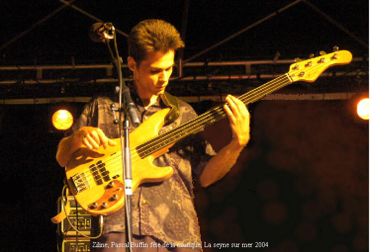 Photo annonce Bassiste pro cherche groupe en PACA