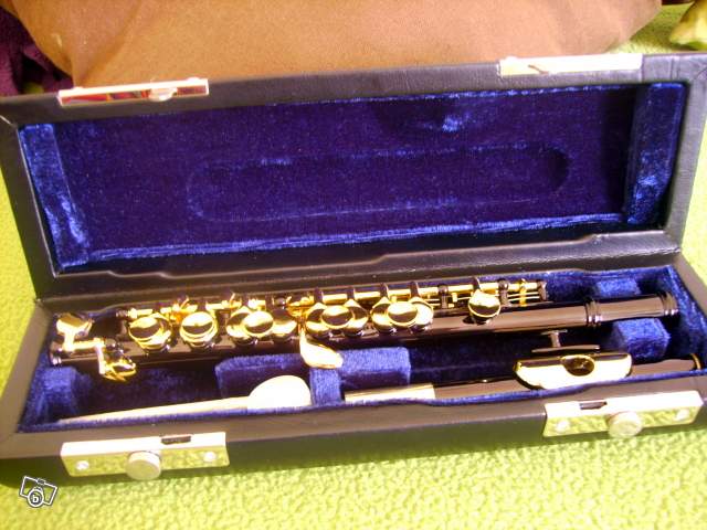 Photo annonce Flute Piccolo & etui