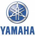 Photo annonce Yamaha Maple Custom Absolute & CC Mapex