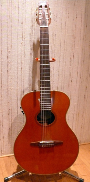 Photo annonce Yamaha APX 6N electo acoustique Nylon