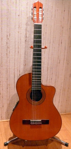 Photo annonce Electro acoustique ALCANTARA Nylon