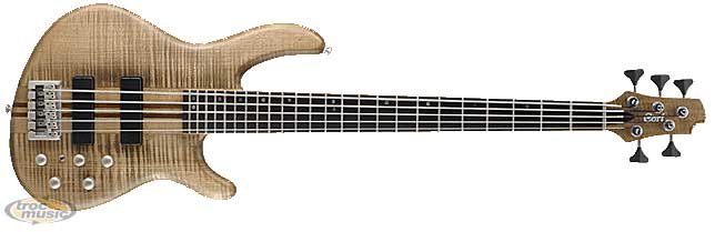 Photo : Basse Cort A5 micros actifs
