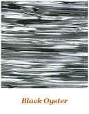 Photo annonce DW BLACK OYSTER