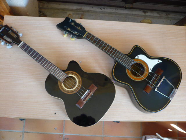 Photo annonce Cavaquinho Rozini