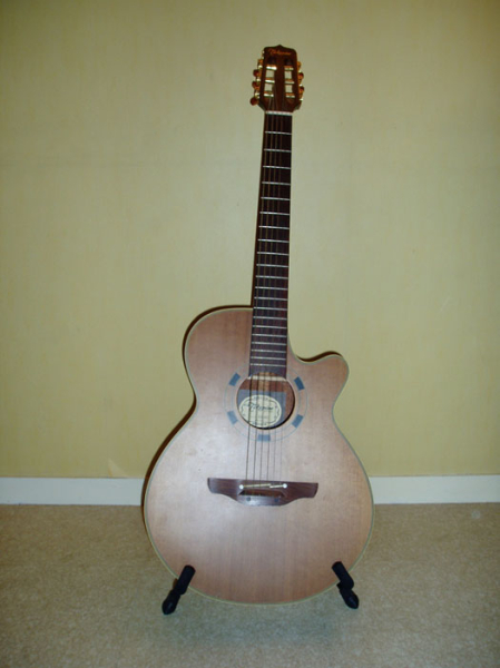Photo annonce Electro Acoustique Takamine EN 30C