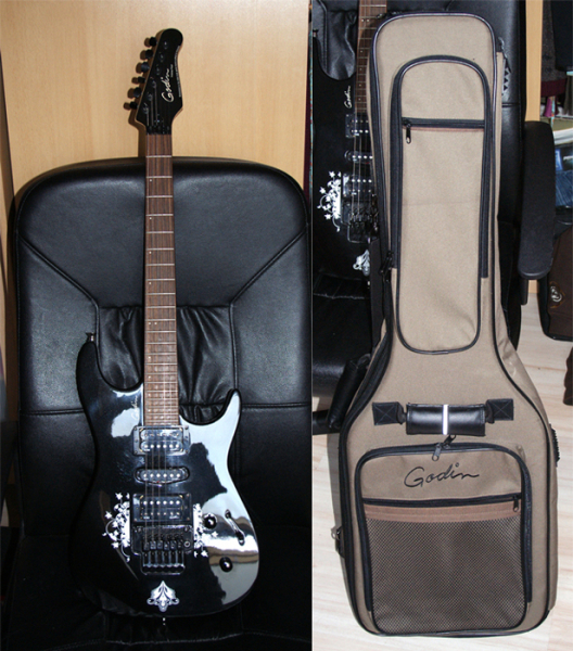 Photo annonce Godin Freeway Floyd black perle