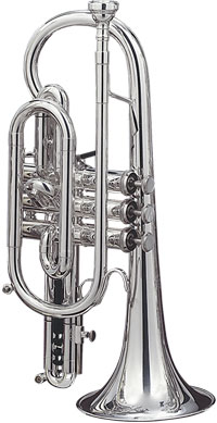 Photo annonce Cornet Getzen Capri 580