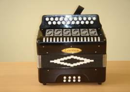 Photo annonce Accordeon 2108 noir