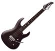 Photo annonce LAG AK100 & micro gibson