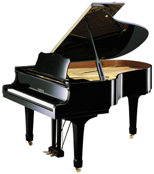 Photo annonce MAGNIFIQUE PIANO A QUEUE C3
