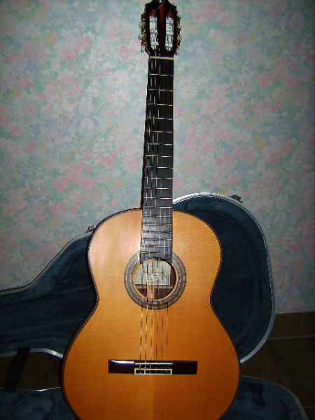 Photo annonce Guitare de concert Juan hernandez